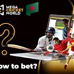 bet on cricket match